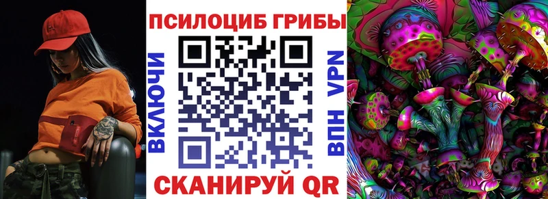 Галлюциногенные грибы Psilocybine cubensis  Венёв 